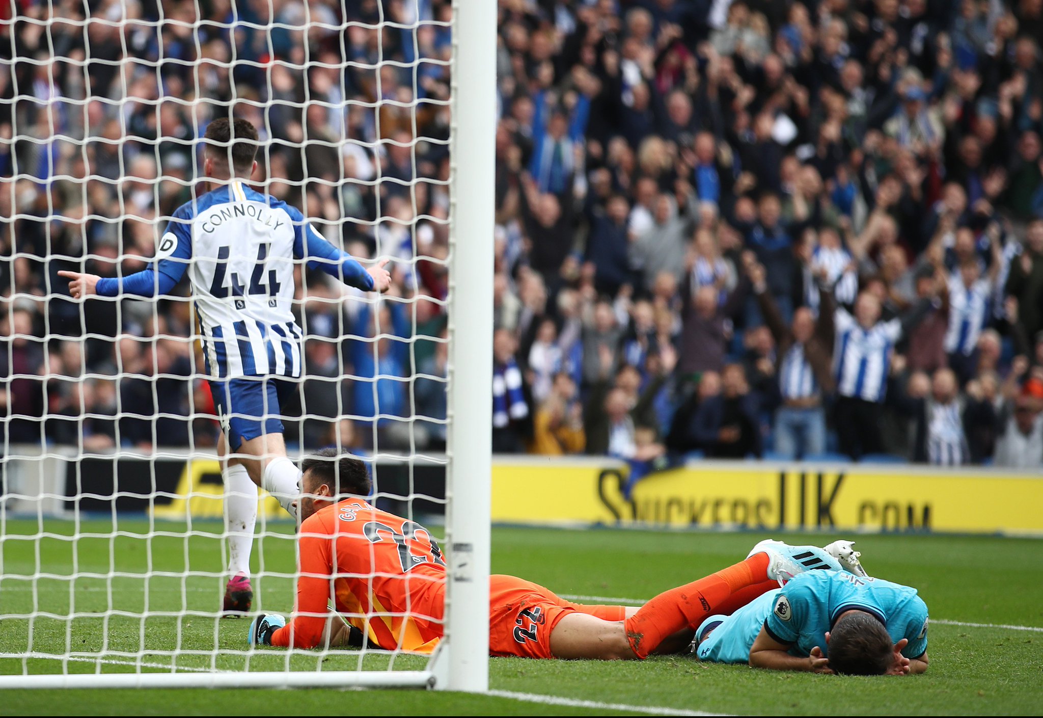 但却因某些 但却因某些