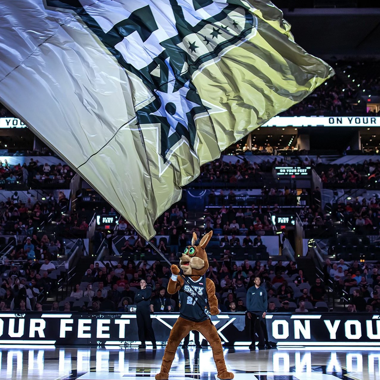 活动还吸引 活动还吸引