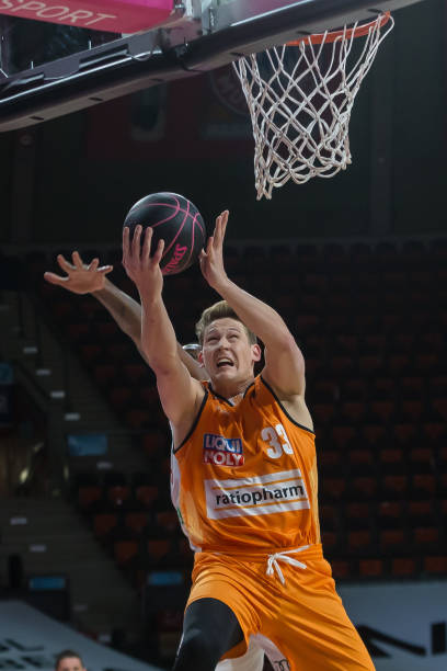 仅信任他的 仅信任他的