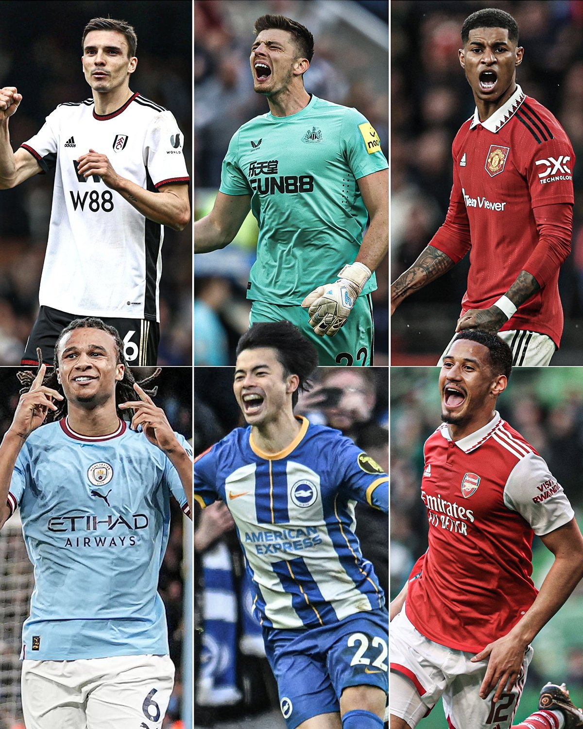 高度专业的 高度专业的